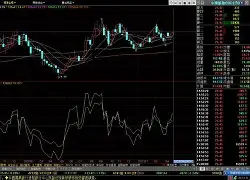 Polkadot上扬势惊人，一夜飙升19.04%，加密市场沸腾